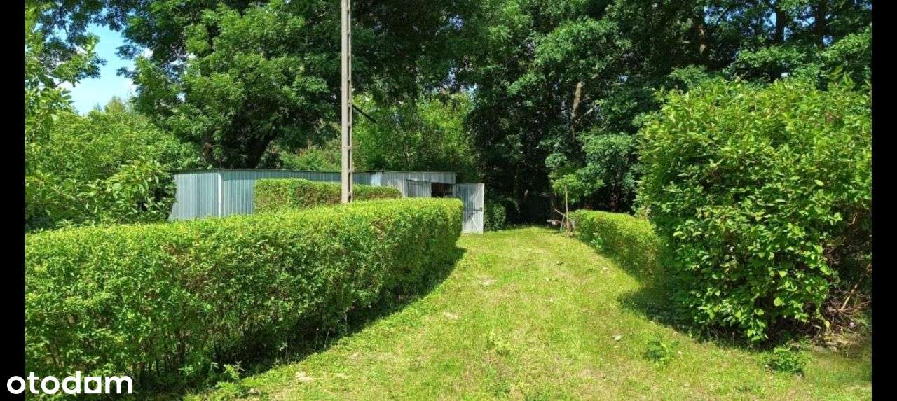 Działka siedliskowo leśna z domkiem-1