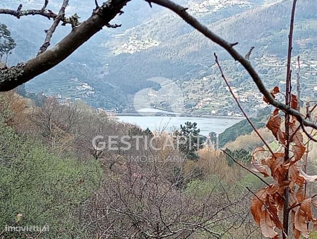 Oportunidade Única: Quinta para Habitação, Turismo ou Agricultura em M-30