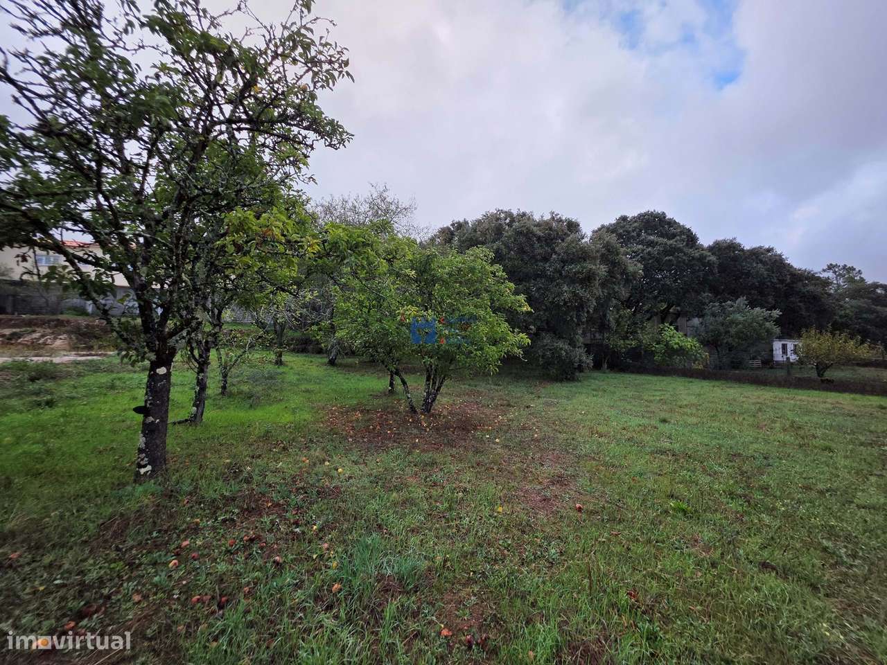 Lotes de Terreno para Construção em Fátima-25