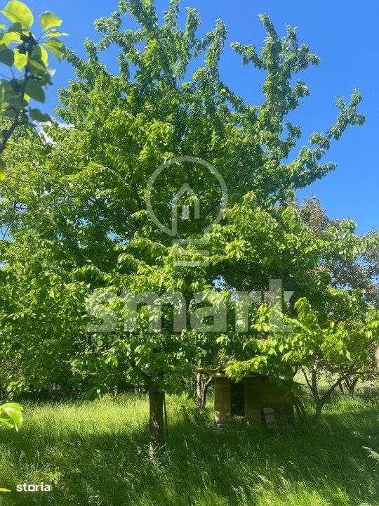 Teren plan autorizat casa individuala Borhanci 1122 mp - Imagine principală: 5/6