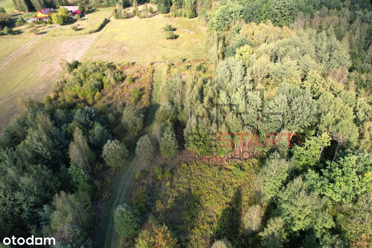 Działka budowlana w Bartoszówce! - Pełny obrazek: 5/10