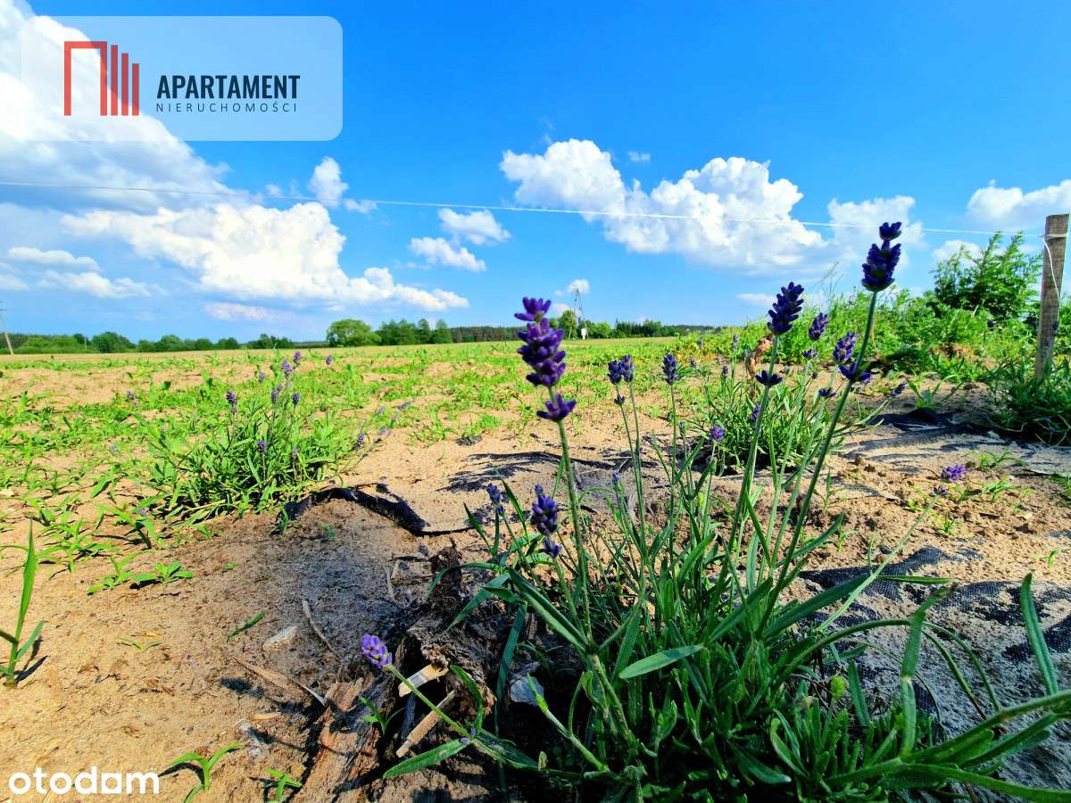 Tylko u Nas! Lawendowa Dolina! Działki na sprzedaż - Pełny obrazek: 3/15