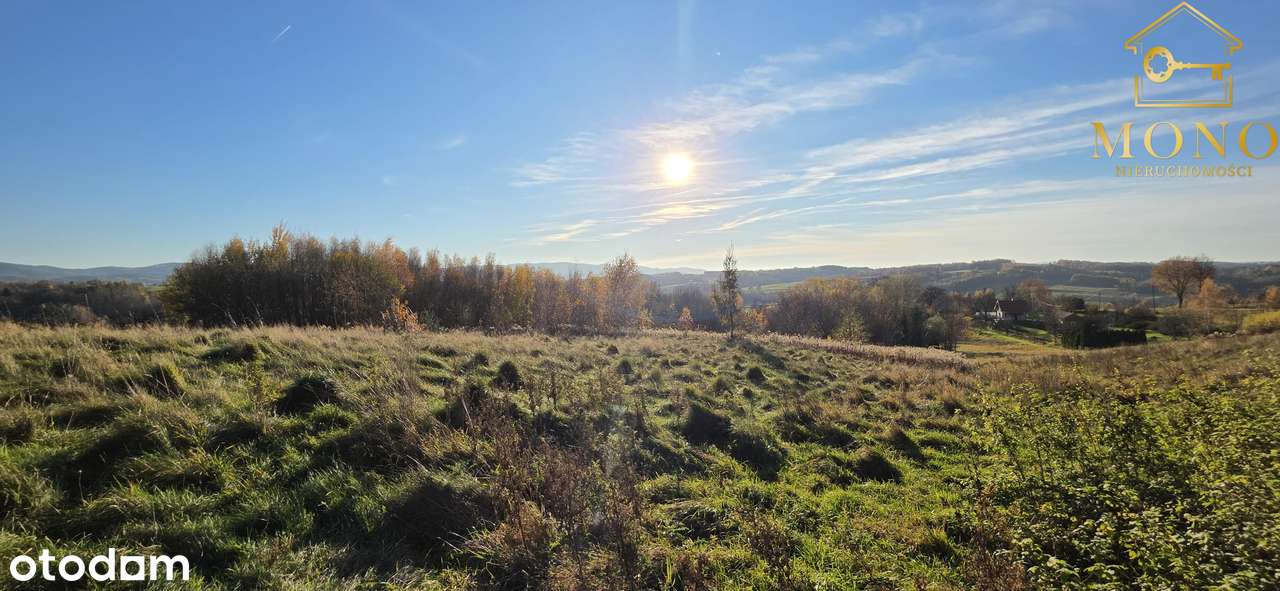 Widokowa działka 58 ar z WZ na 2 domy-10