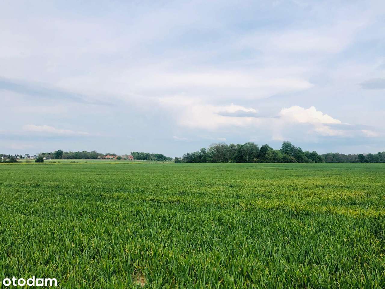 Malowniczy teren rolny  2,24 ha w pobliżu Wrocławia-5