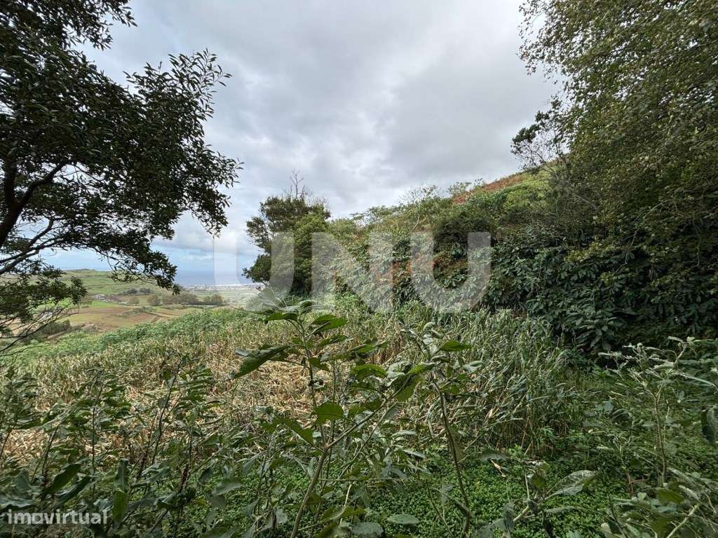 Terreno Rústico - Grande imagem: 5/8