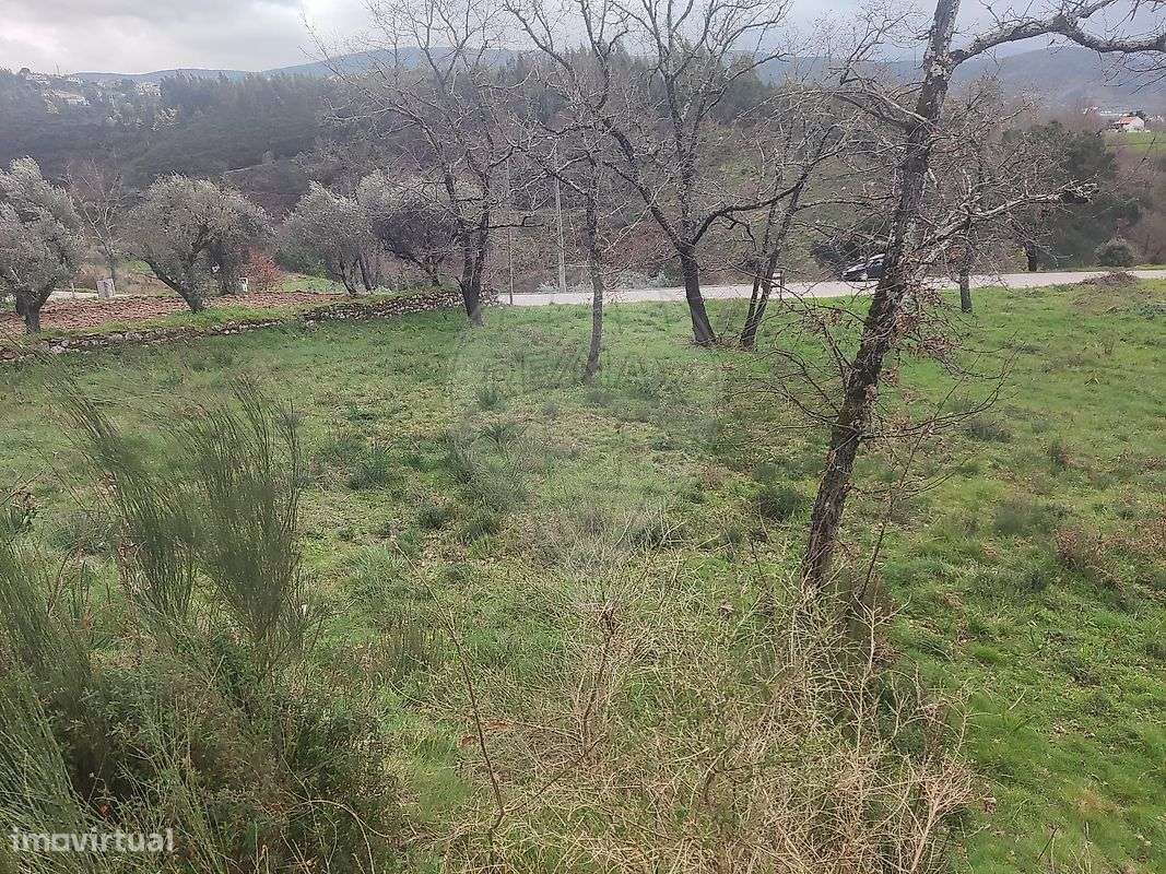 Terreno  para venda - Grande imagem: 5/6