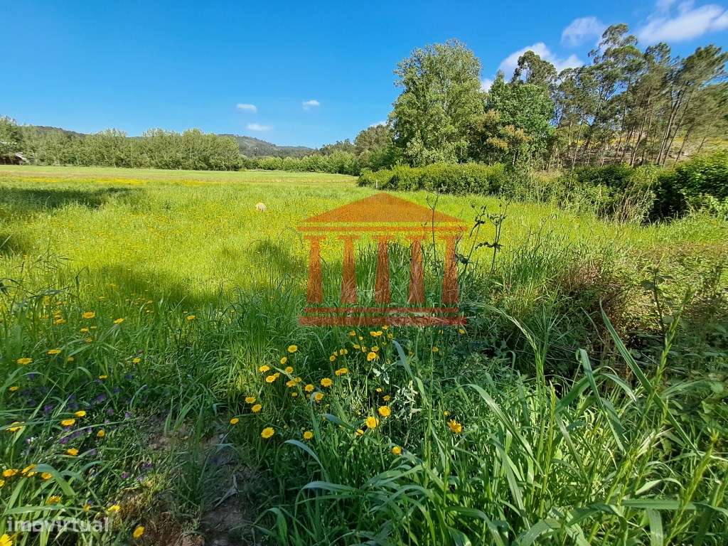 TERRENO PARA CONSTRUÇÃO - MARTIM - BARCELOS-6
