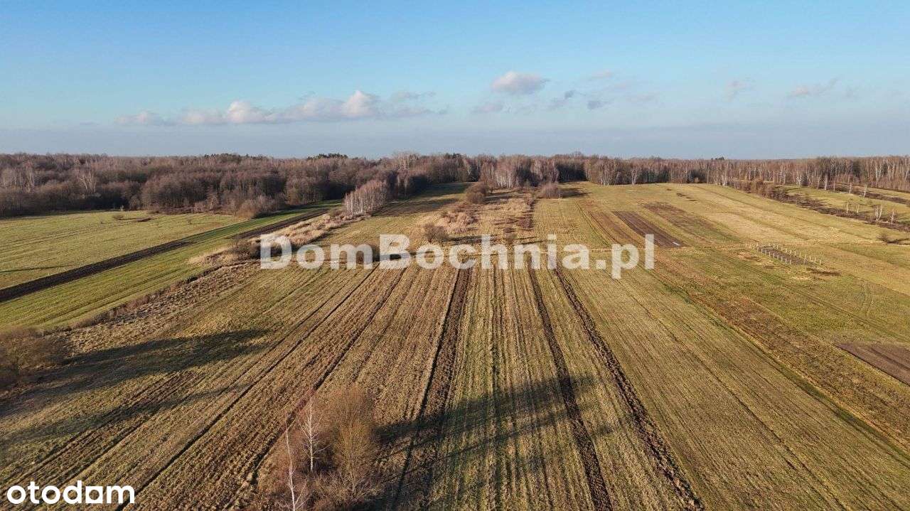 Jodłówka działka budowlana lokata w ziemi-9