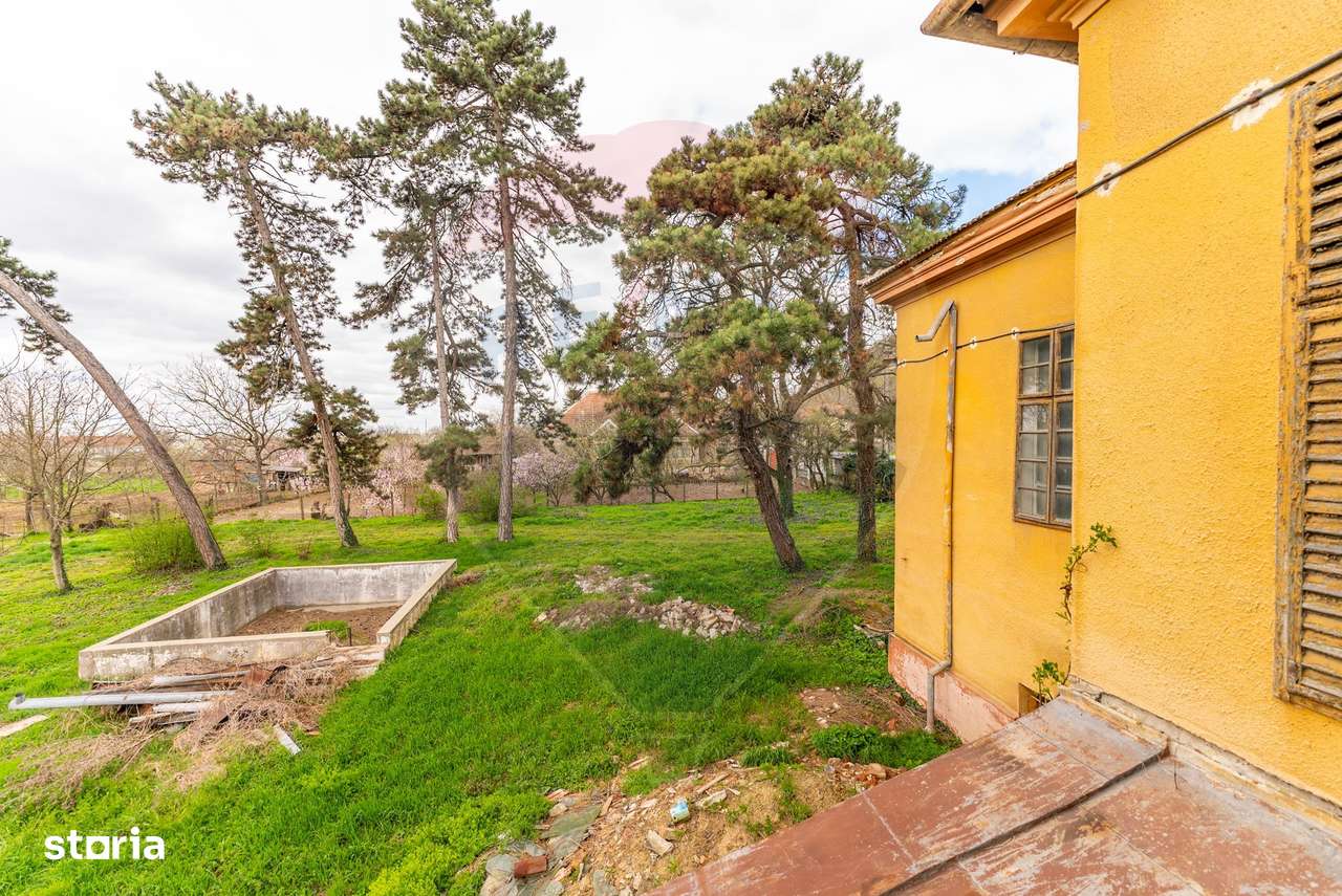 Conac aristocratic secolul XIX , domeniu  2,5 hectare — Păuliș, Arad-5