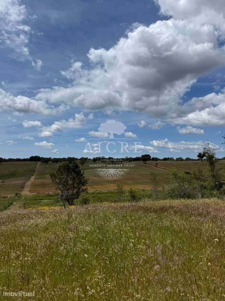 Monte Alentejano com Projeto de Turismo Rural Aprovado – Santiago do C-8