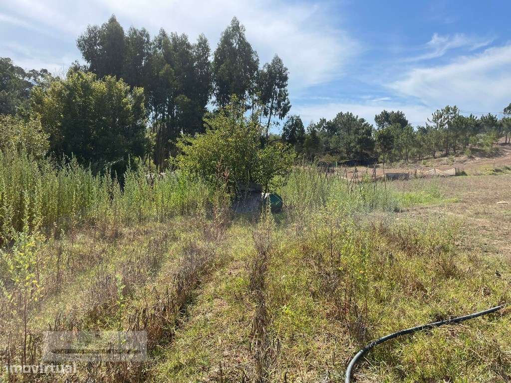 Terreno para construção de 2 fogos, com um armazem de 120 m2, em Za...-11