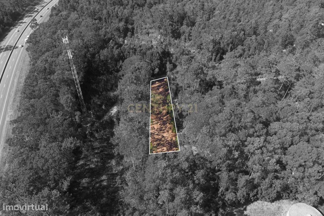 Terreno Espetacular em Aveiro, 1200m² por 15500€ - Grande imagem: 2/6