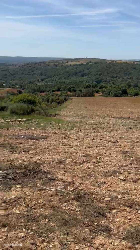 Terreno de cultivo com 600.00 m2 em M. de Cavaleiros.-5