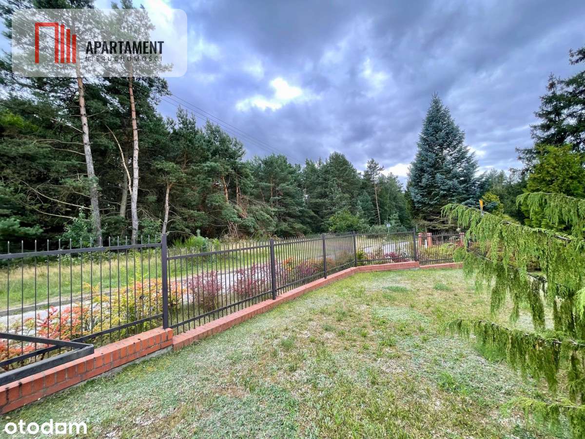 Drewniany dom z bali z widokiem na las - Pełny obrazek: 5/20