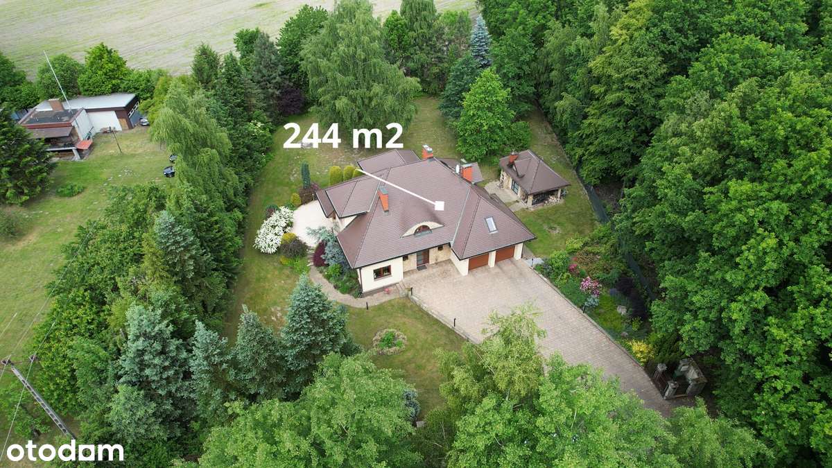 Twoja najlepsza historia zaczyna się tutaj-0