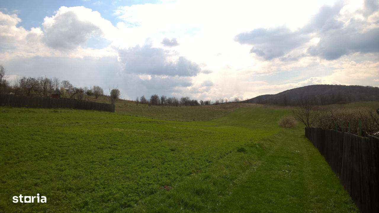 Vanzare teren Luncani, Bacau - Imagine principală: 4/12