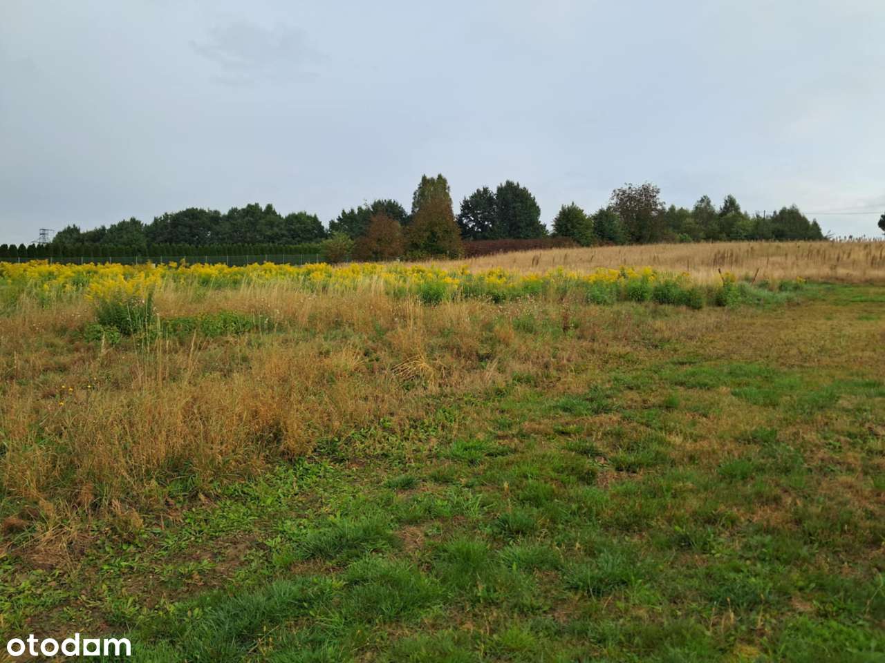 Działka w Turzyczce - Pełny obrazek: 1/1