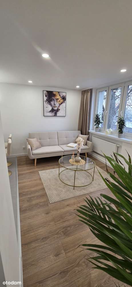 2 pokojowy apartament z dużą loggią po generalnym remoncie Szombierki-16