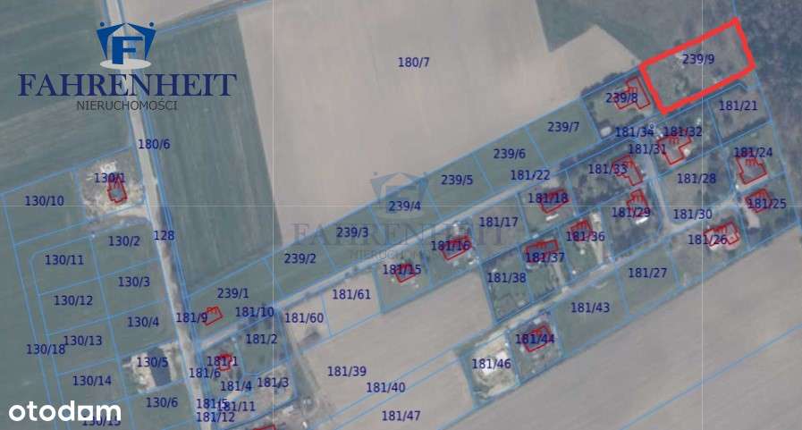 Uzbrojona działka, prąd, gaz, woda, ś-wód, Las !!-1