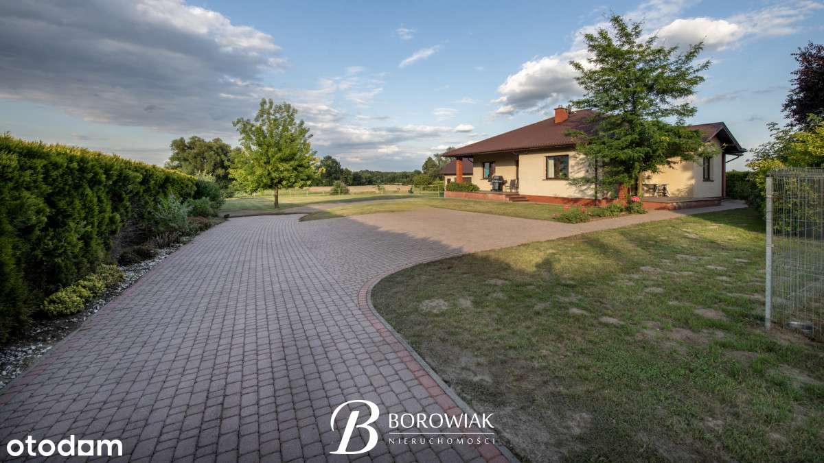 Parterowy dom w spokojnej okolicy - Osiek - Pełny obrazek: 5/20