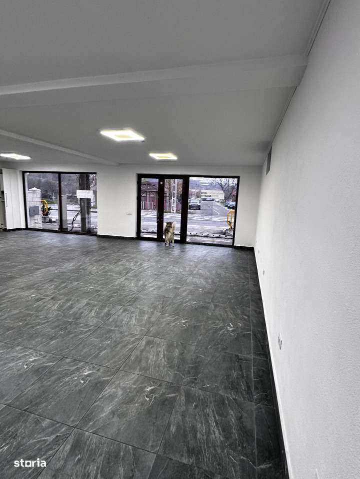 Spatiu Comercial 120 mp utili Podari - Imagine principală: 3/10