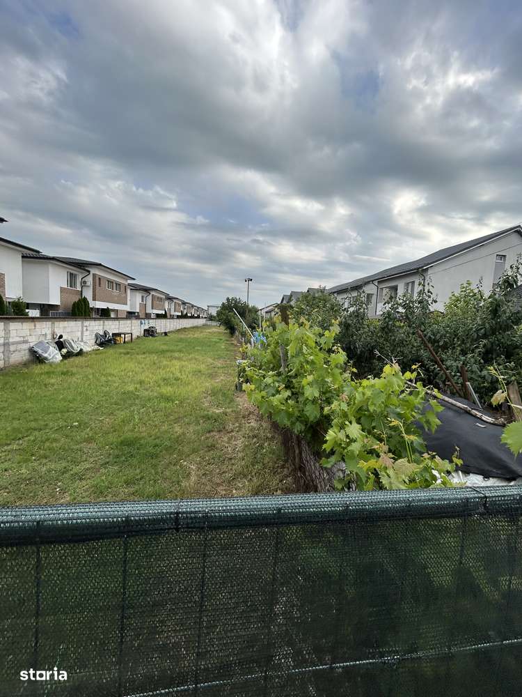 Teren, 1 705 m²,  - Imagine principală: 4/10