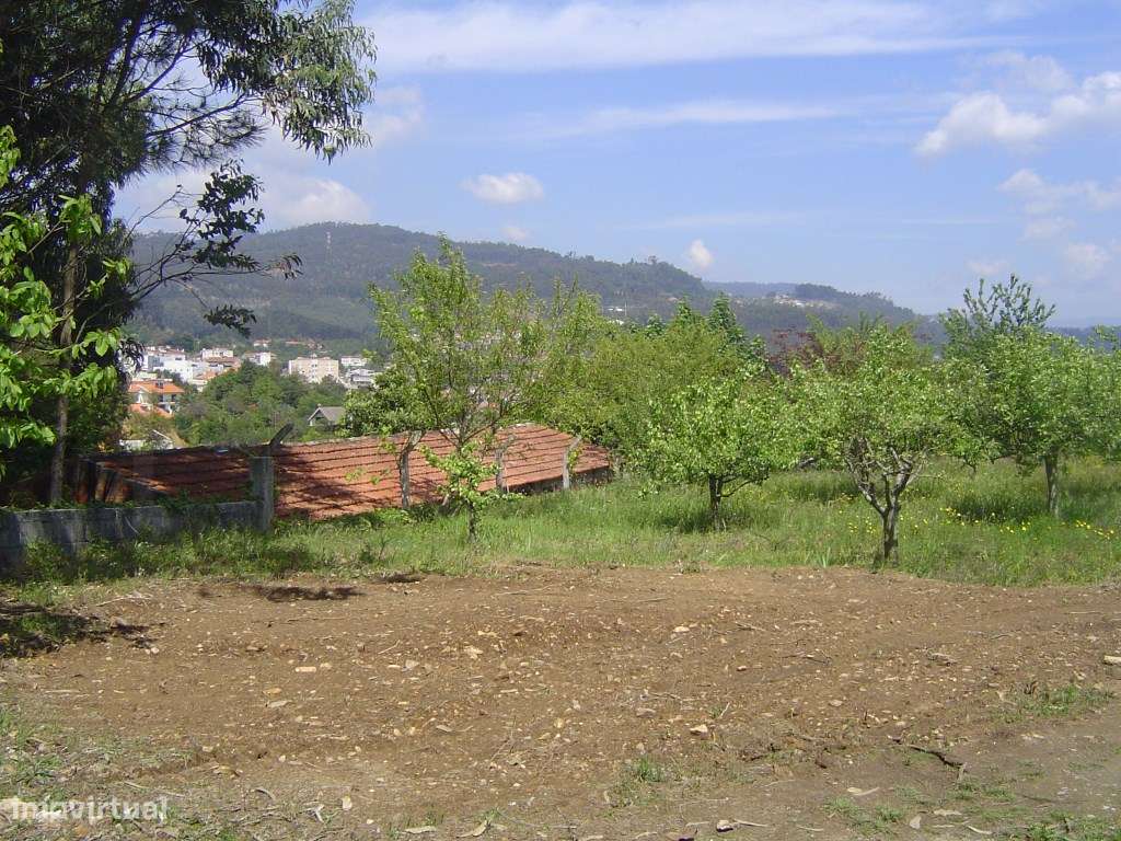 Quinta / Terreno para construção - Sever do Vouga - Grande imagem: 2/5