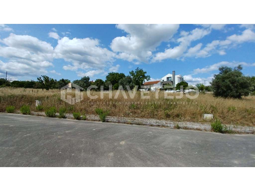 Terreno com viabilidade de construção a 1km de Tomar. - Grande imagem: 2/6