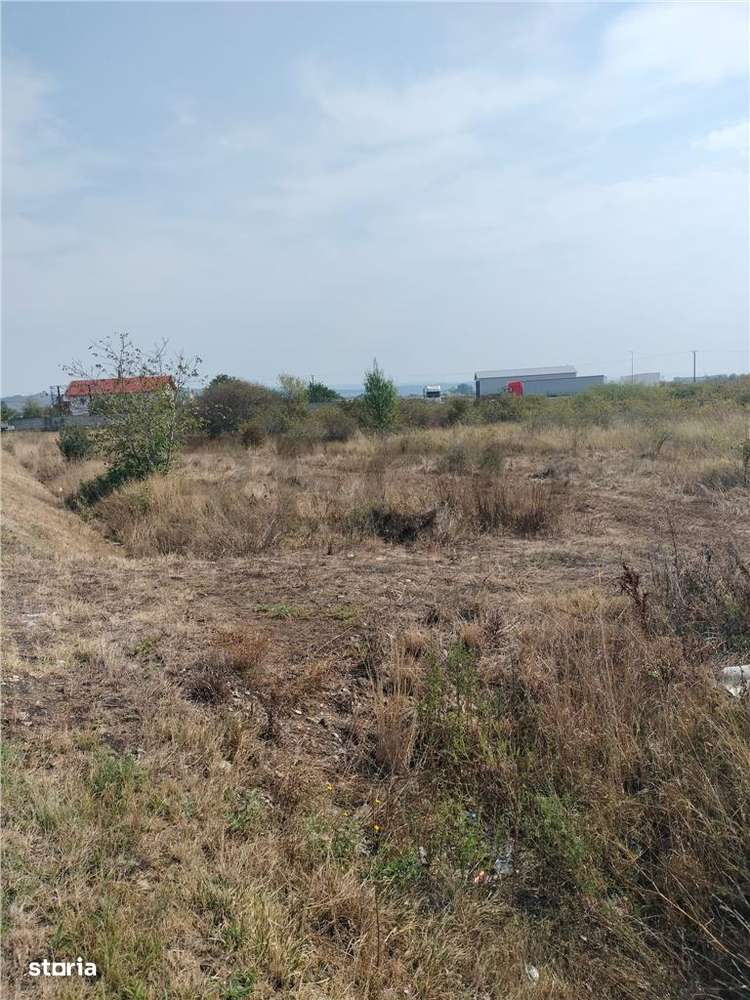 RECO teren intravilan tileagd - Imagine principală: 5/9