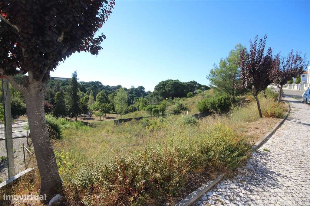 Lote, Coimbra, Santa Clara - Grande imagem: 1/14