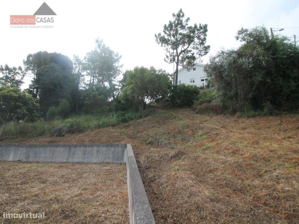 Terreno Marco dos Pereiros - Coimbra - Grande imagem: 4/4