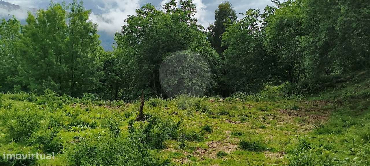Terreno  para venda-9
