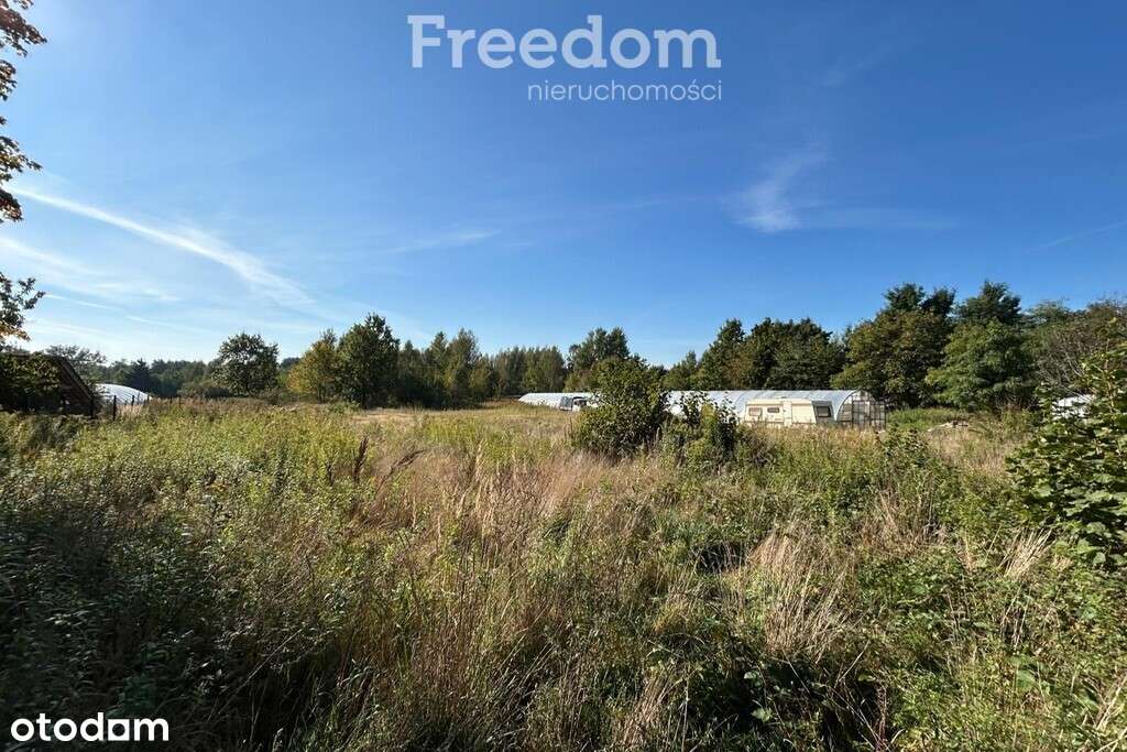 Działki w miejscowości Zakole-Wiktorowo - Pełny obrazek: 5/6