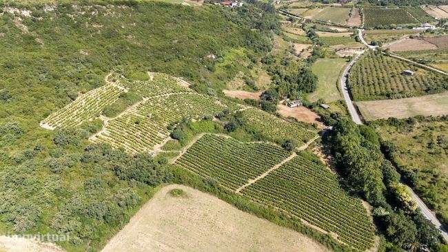 Terreno Rústico com 35.880m² em Sobral Monte Agraço - Grande imagem: 5/7