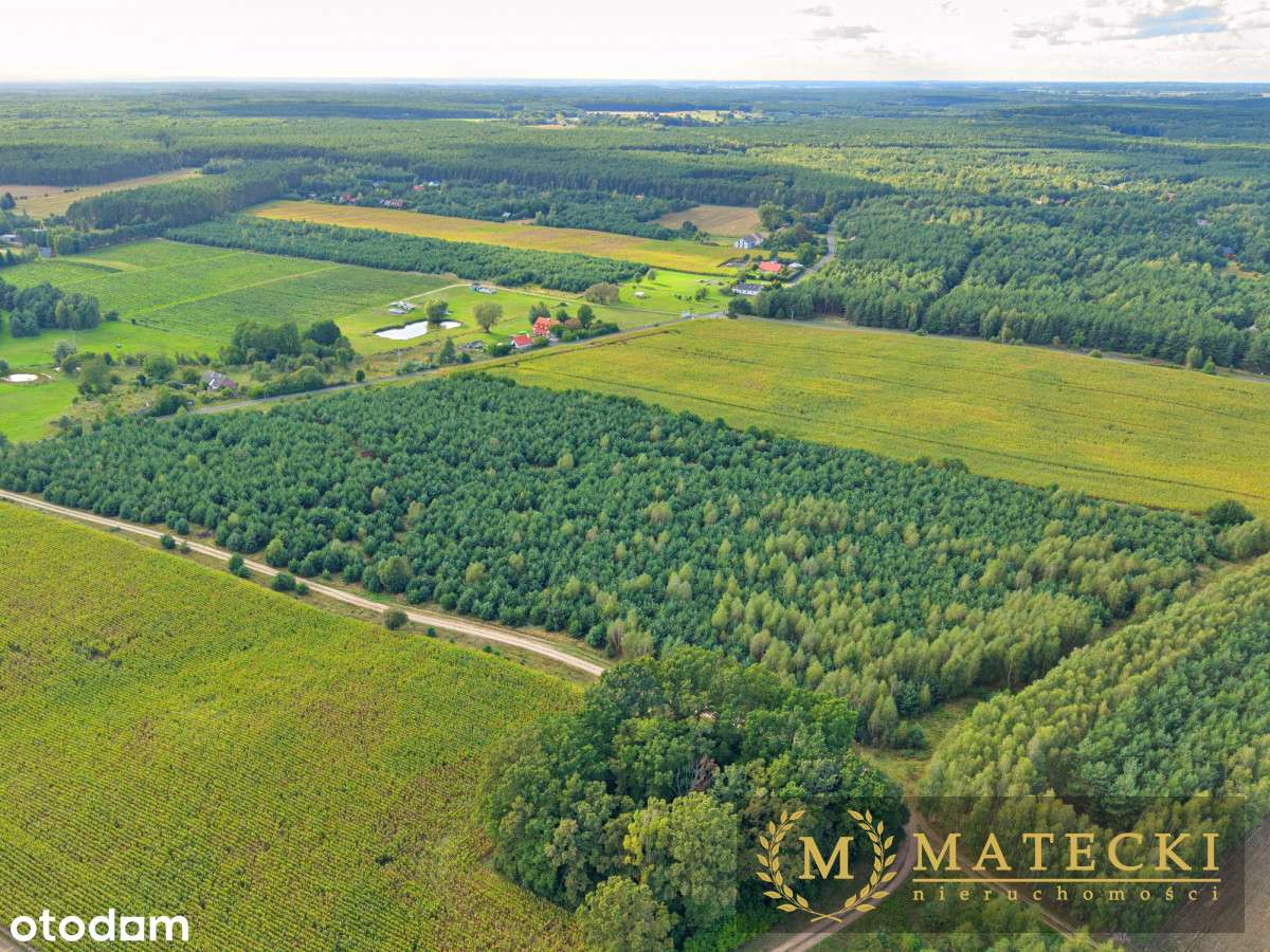 Wyjątkowa, duża działka z drzewami - Pełny obrazek: 5/20