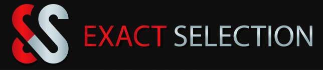 Stand Exact Selection logo