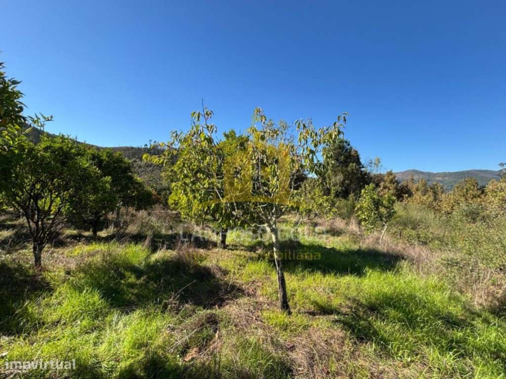 Terreno Agrícola para Venda em Friande, Póvoa de Lanhoso - Grande imagem: 4/16