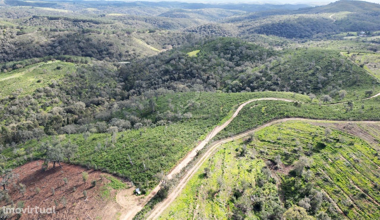 Herdade  Venda em São Salvador e Santa Maria,Odemira