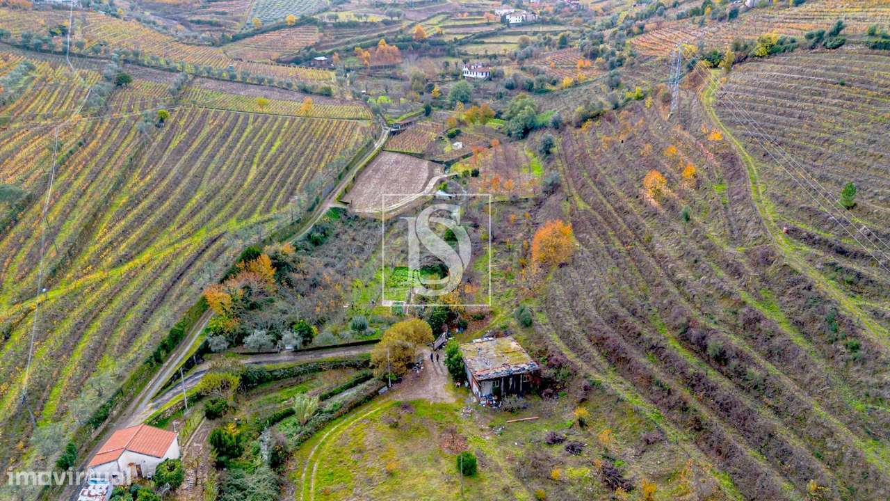 Quinta das Lamas - Grande imagem: 3/15