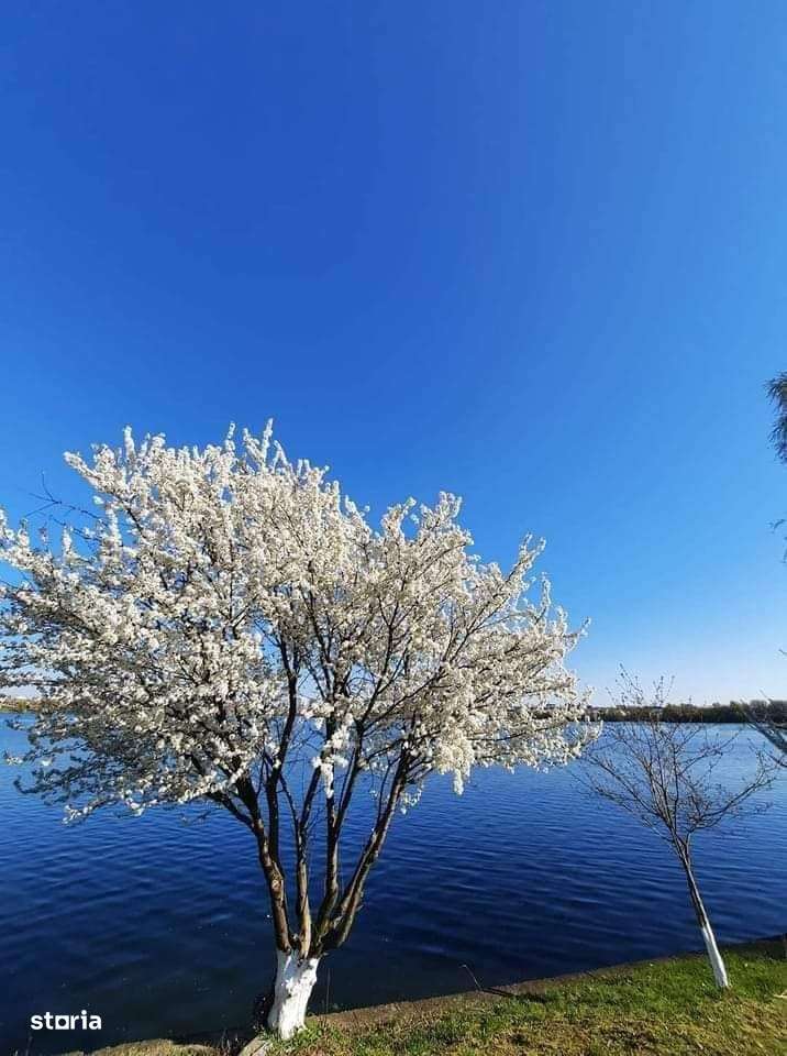 Apartament superb 3 camere gradina pe lac Damaroaia-0