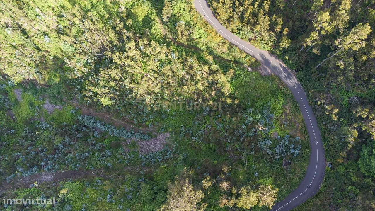 Terreno de 120.000m² com Potencial Agrícola - Campanário - Grande imagem: 4/11