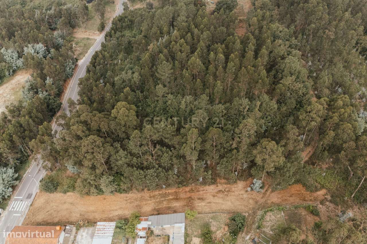 Terreno Misto Residencial e Florestal - Medas, Gondomar - Grande imagem: 4/6