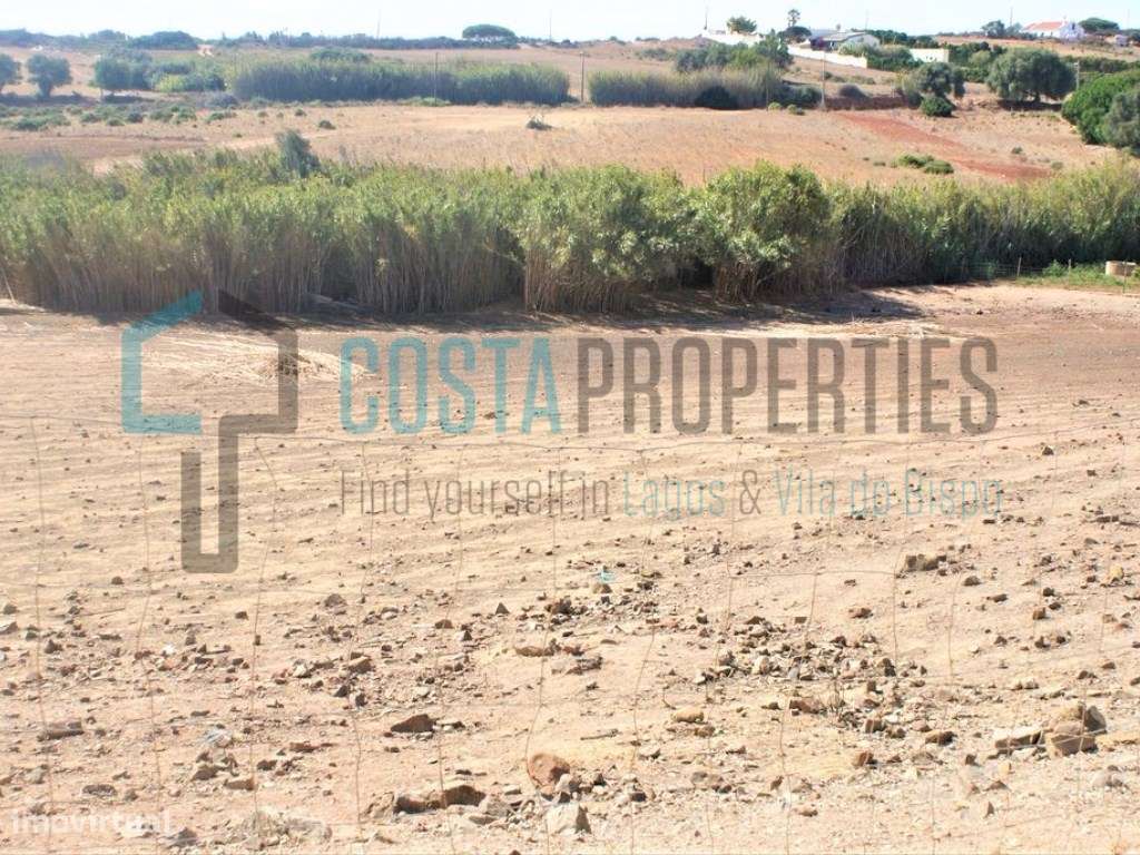 Terreno Rústico com Poço na Raposeira - Grande imagem: 2/9