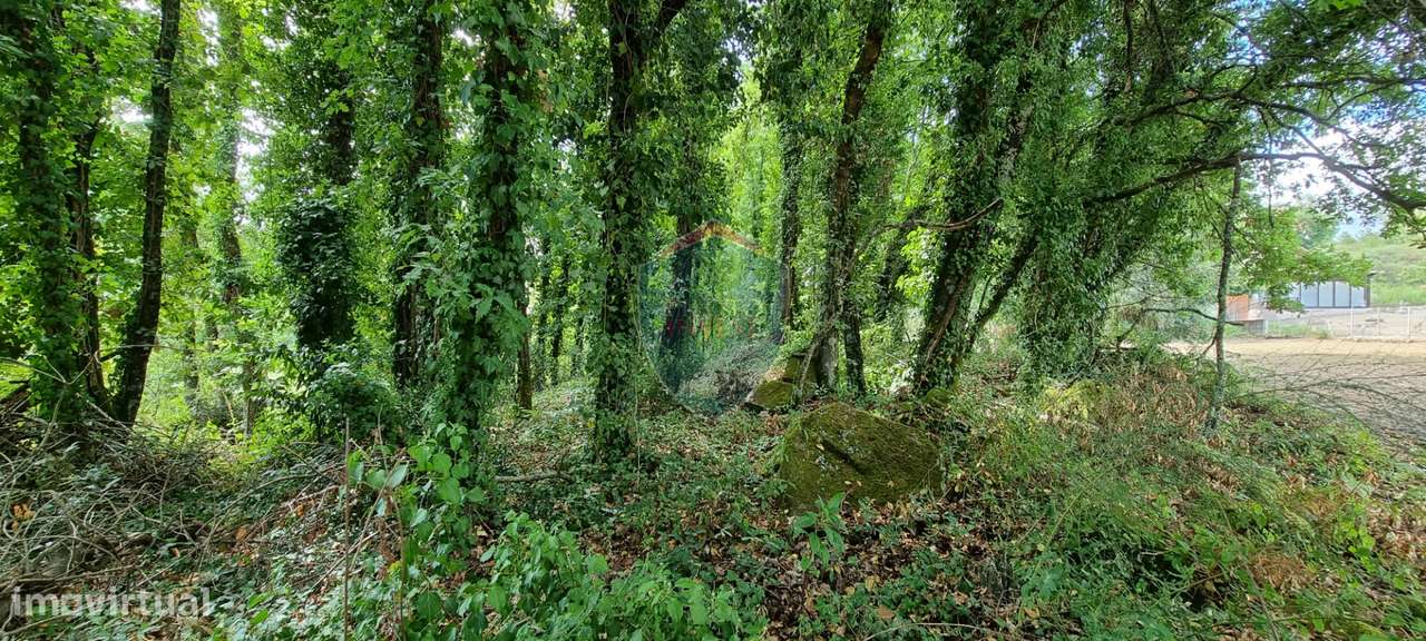 Terreno Para Construção  Venda em Ribafeita,Viseu - Grande imagem: 3/15