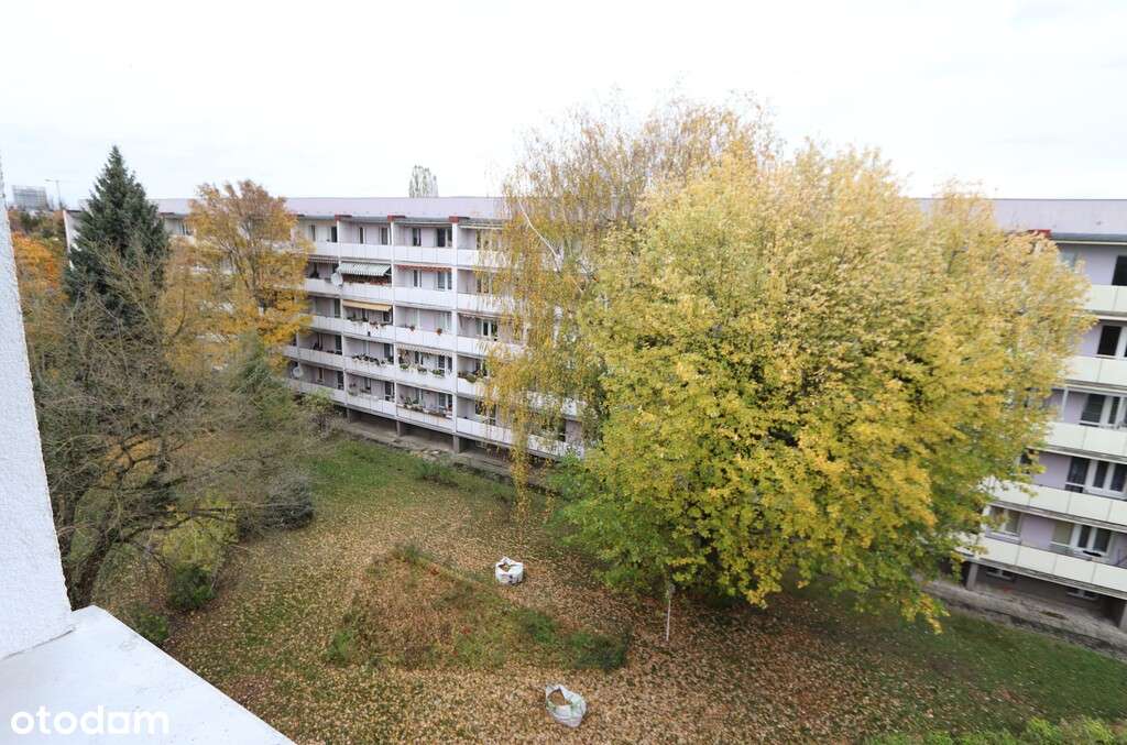 3 pok. z kuchnią, po remoncie, 4 min. tramwaj-10