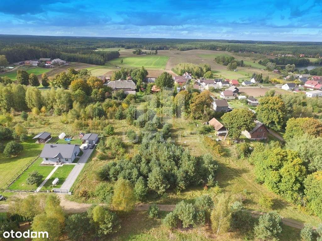 Dwie działki na tererenie Borów Tucholskich - Pełny obrazek: 5/19