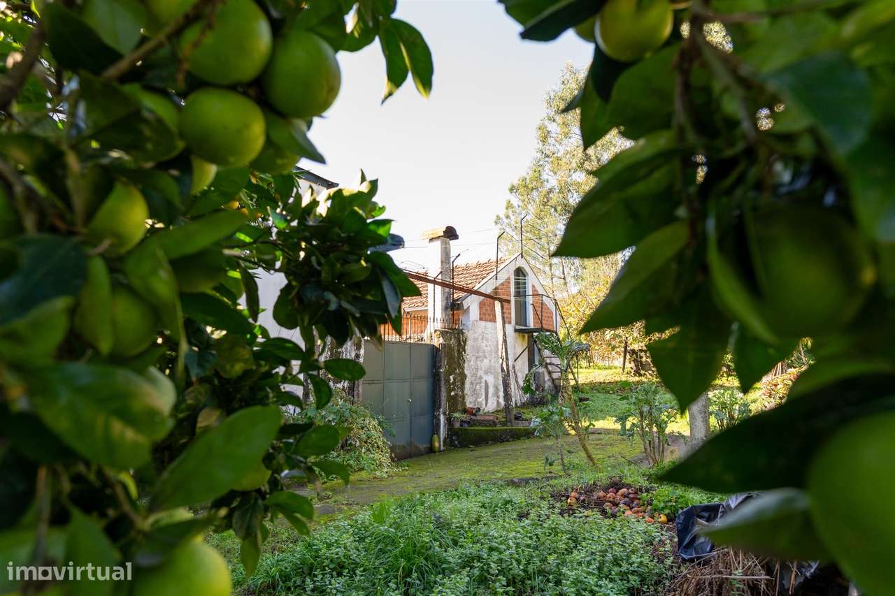 Moradia Isolada T2 Venda em Lobão, Gião, Louredo e Guisande,Santa Mari-38