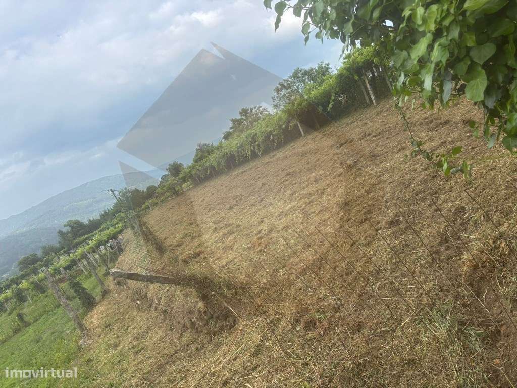 TERRENOS PARA CONSTRUÇÃO E CULTURA - Grande imagem: 5/11