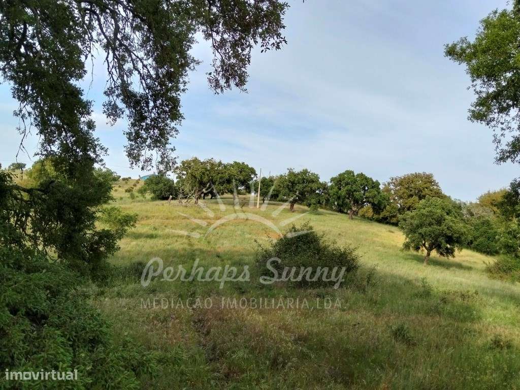 Terreno Misto São Francisco da Serra-22