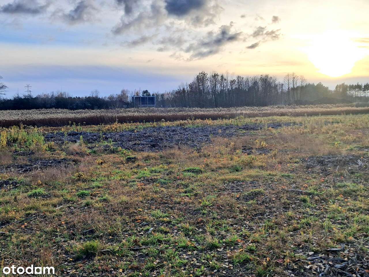 DZIAŁKA BUDOWLANA/Wola Karczewska/3500 m²/Warunki zabudowy na dwa domy-7